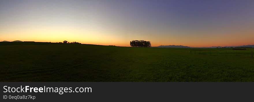 Sunrise on Green Grass Field