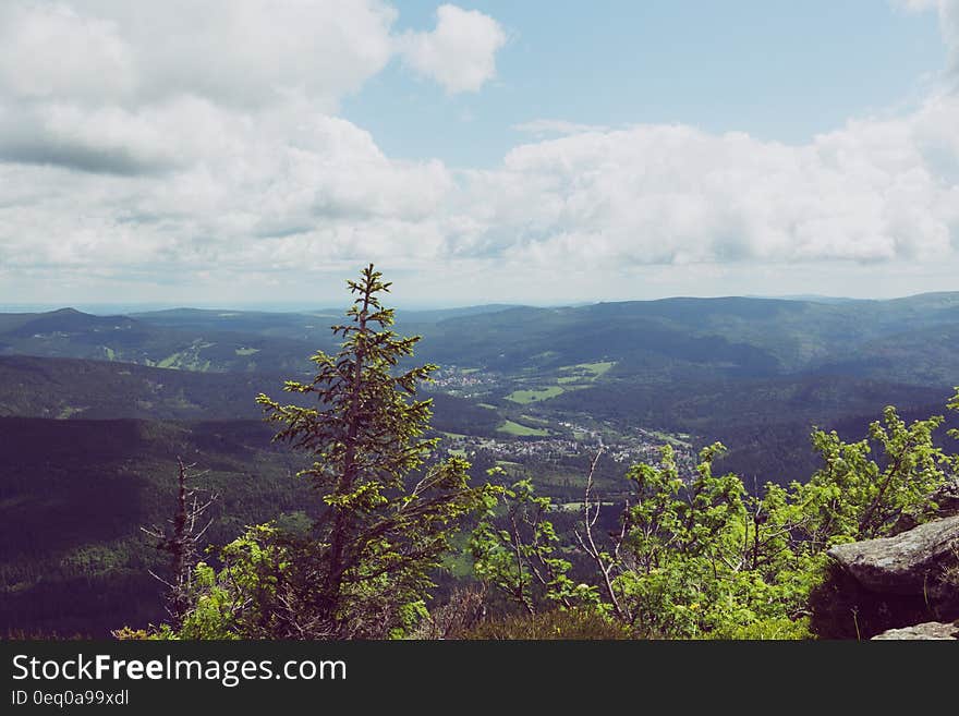 Green Trees Near Mountain Under White and Blue Sky