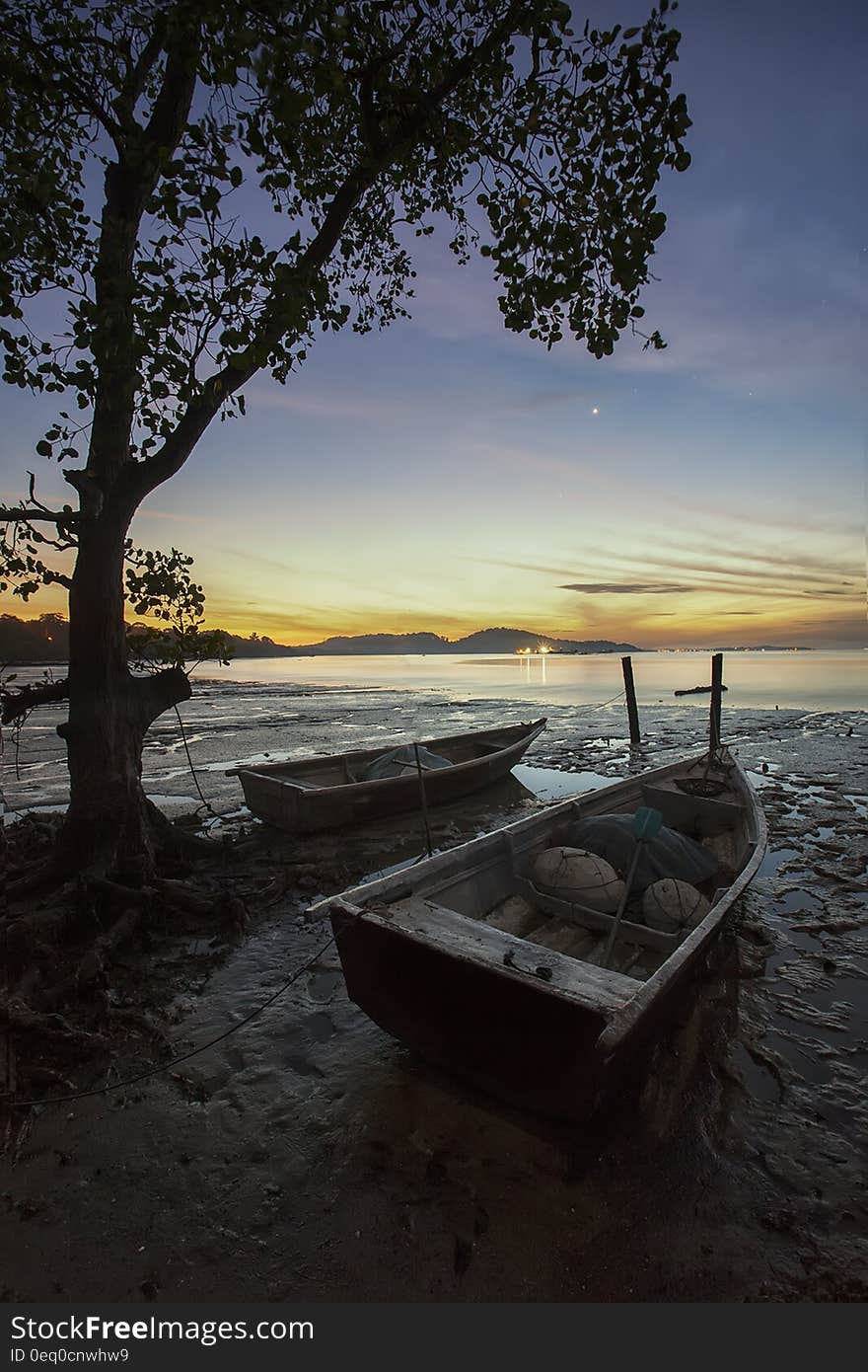 2 Boats on Seashore Beside Brown Tree