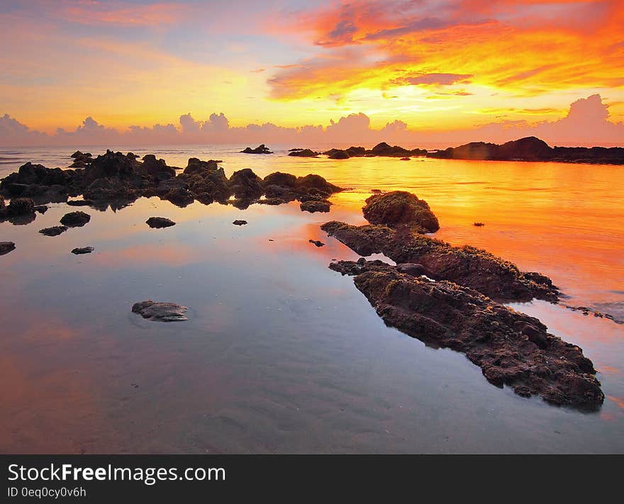 Seashore during Sunset