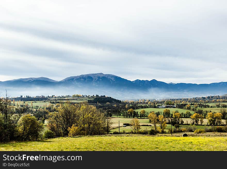 Country landscape with fog over hillside on sunny day.