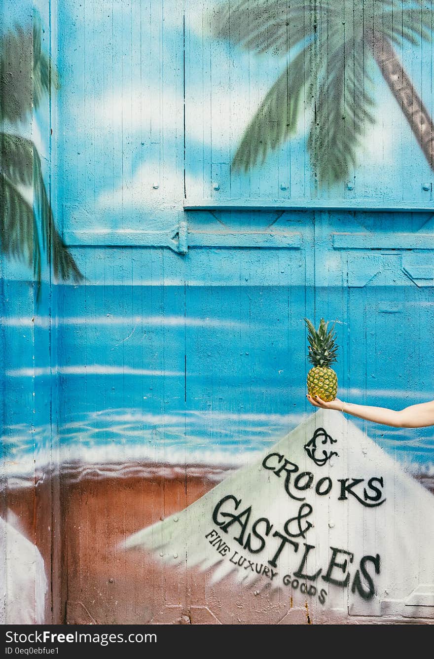 The outside of a house with tropical beach painted on it. The outside of a house with tropical beach painted on it.