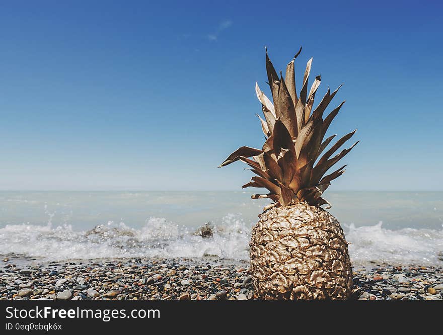 A pineapple fruit on the beach with blue skies. A pineapple fruit on the beach with blue skies.