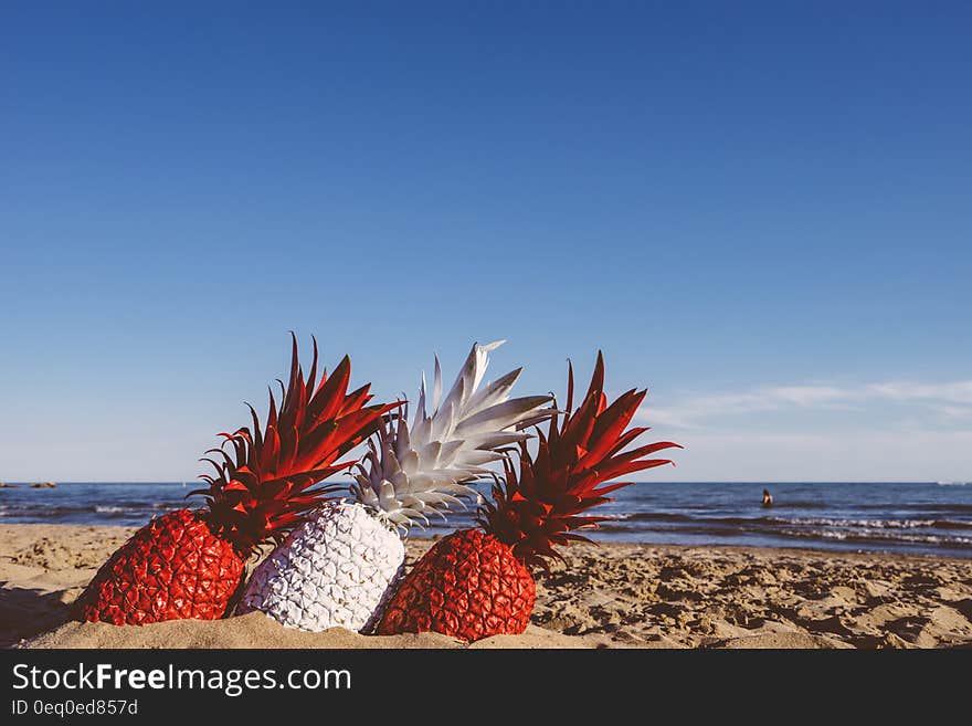 Three painted pineapples in the sand on a beach. Three painted pineapples in the sand on a beach.