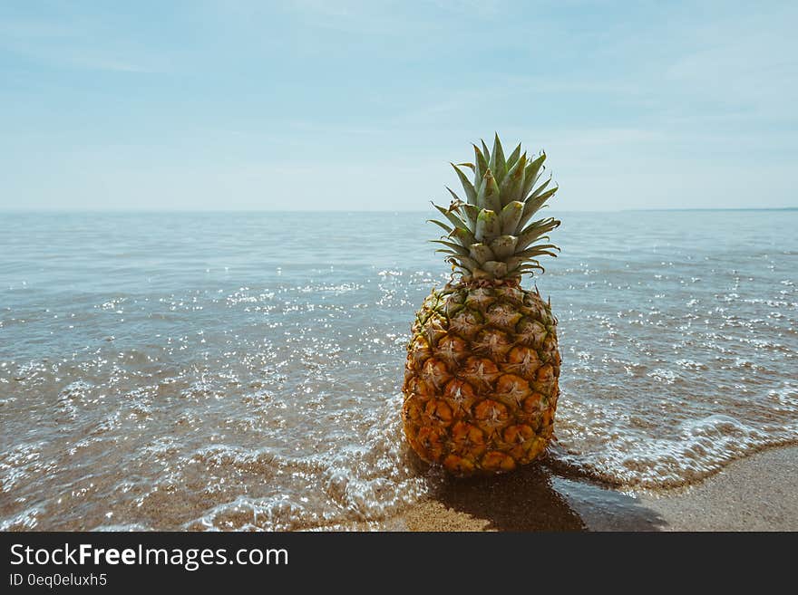 A pineapple in the water at sea. A pineapple in the water at sea.