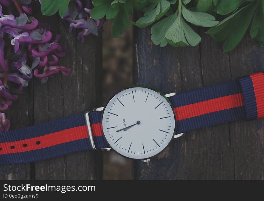 Blue and Red Strap Silver Round Analog Watch Beside Purple and Green Leaf Plant