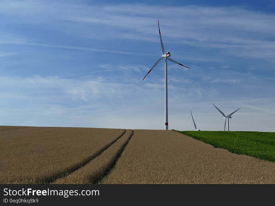 White Windmills