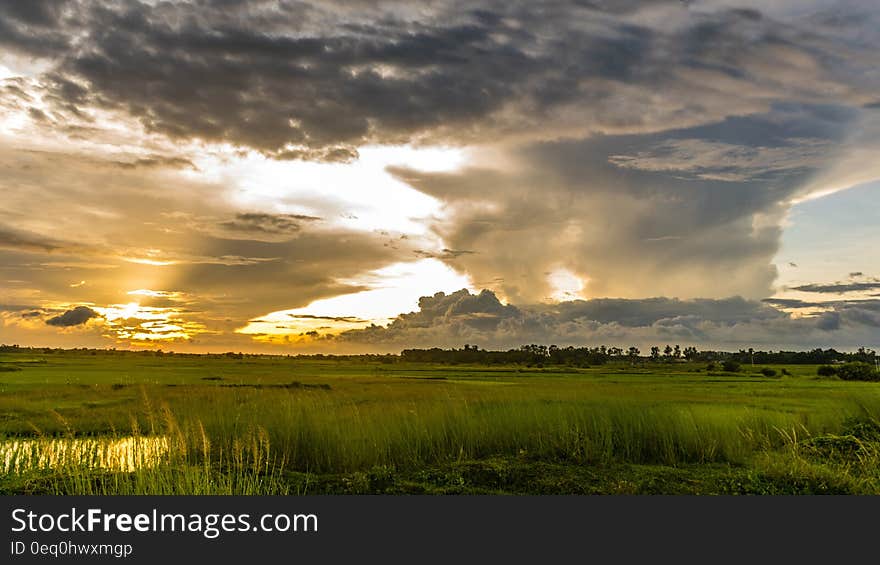 Macro Shot of Green Grass Field Under Cloudy Sky during Sunset