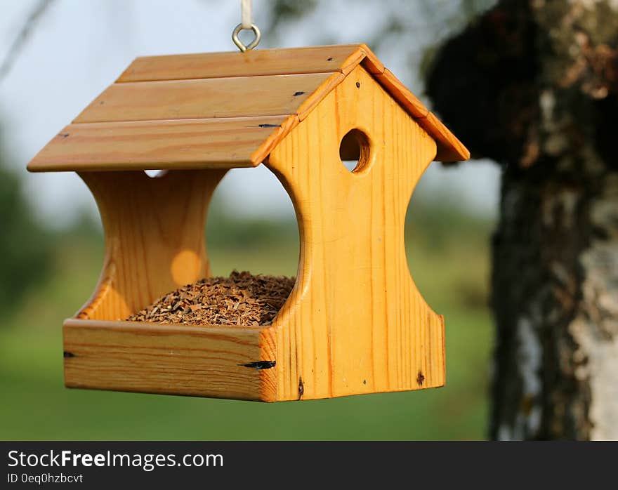 Brown Wooden Bird House Hanging on Tree