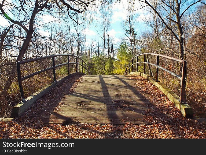 Bridge Photography during Daytime