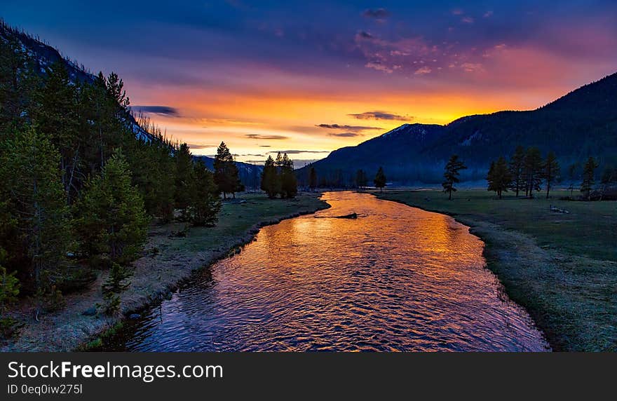 River Surrounded by Green Trees