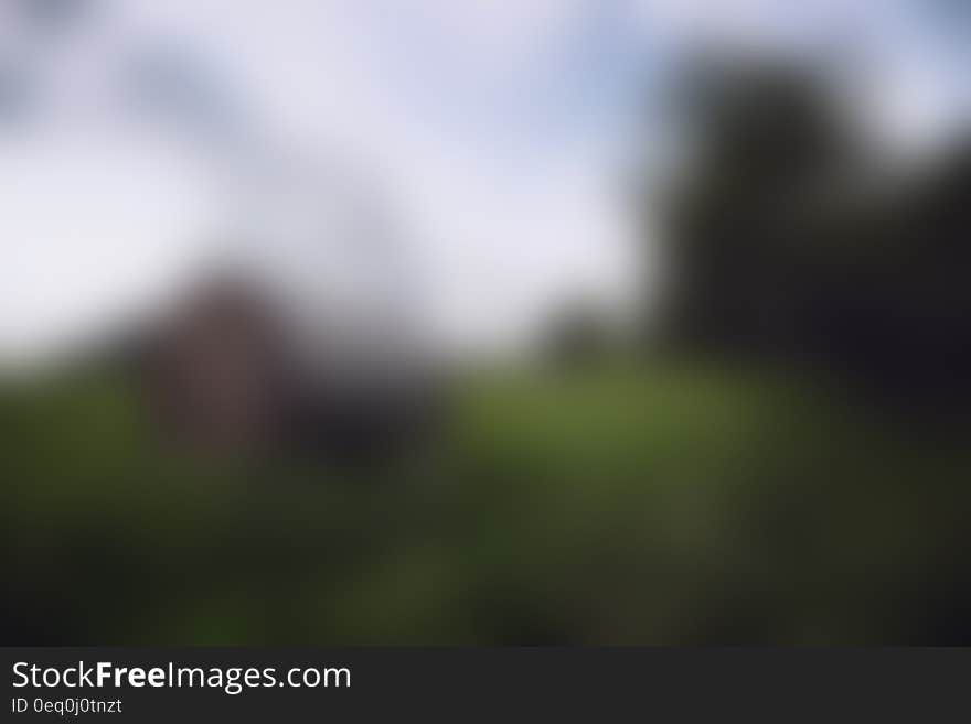 Blur of green landscape on sunny day. Blur of green landscape on sunny day.