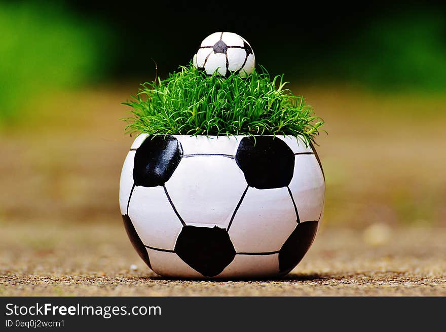 White and Black Soccer Ball Theme Plant Pot