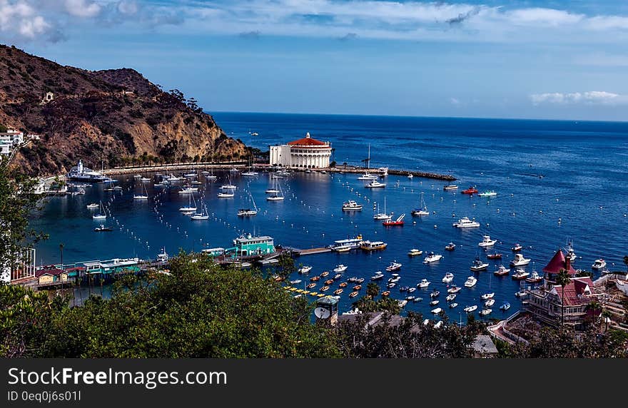 Boats Near Dock on Island at Daytime