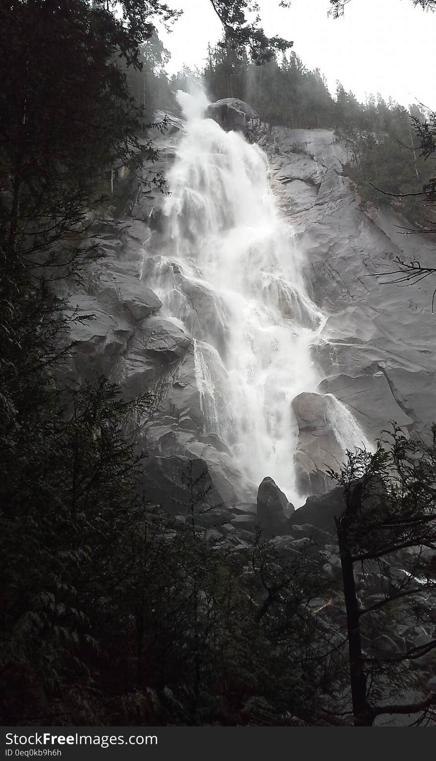 Photography of Nature Falls Near Forest