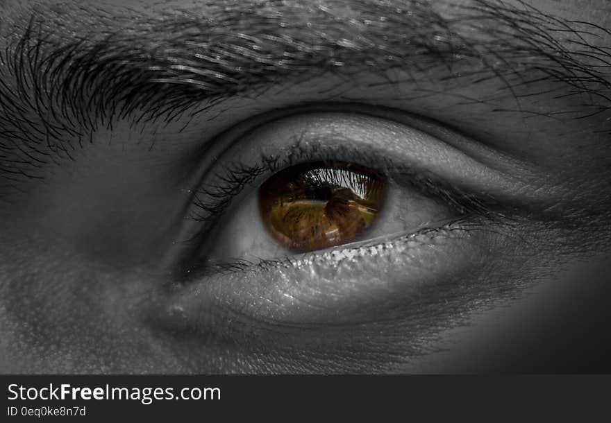 Grayscale Photography of Human Left Eye