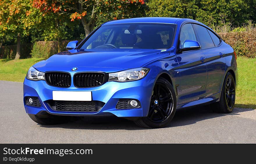 Blue Bmw Sedan Near Green Lawn Grass