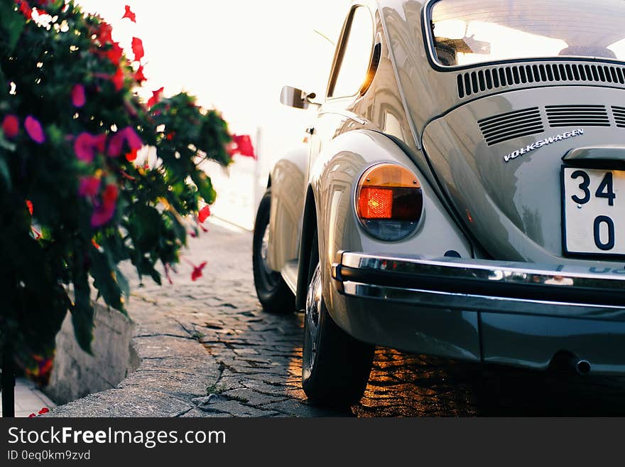 Gray Volkswagen Beetle Near Pink Flowers