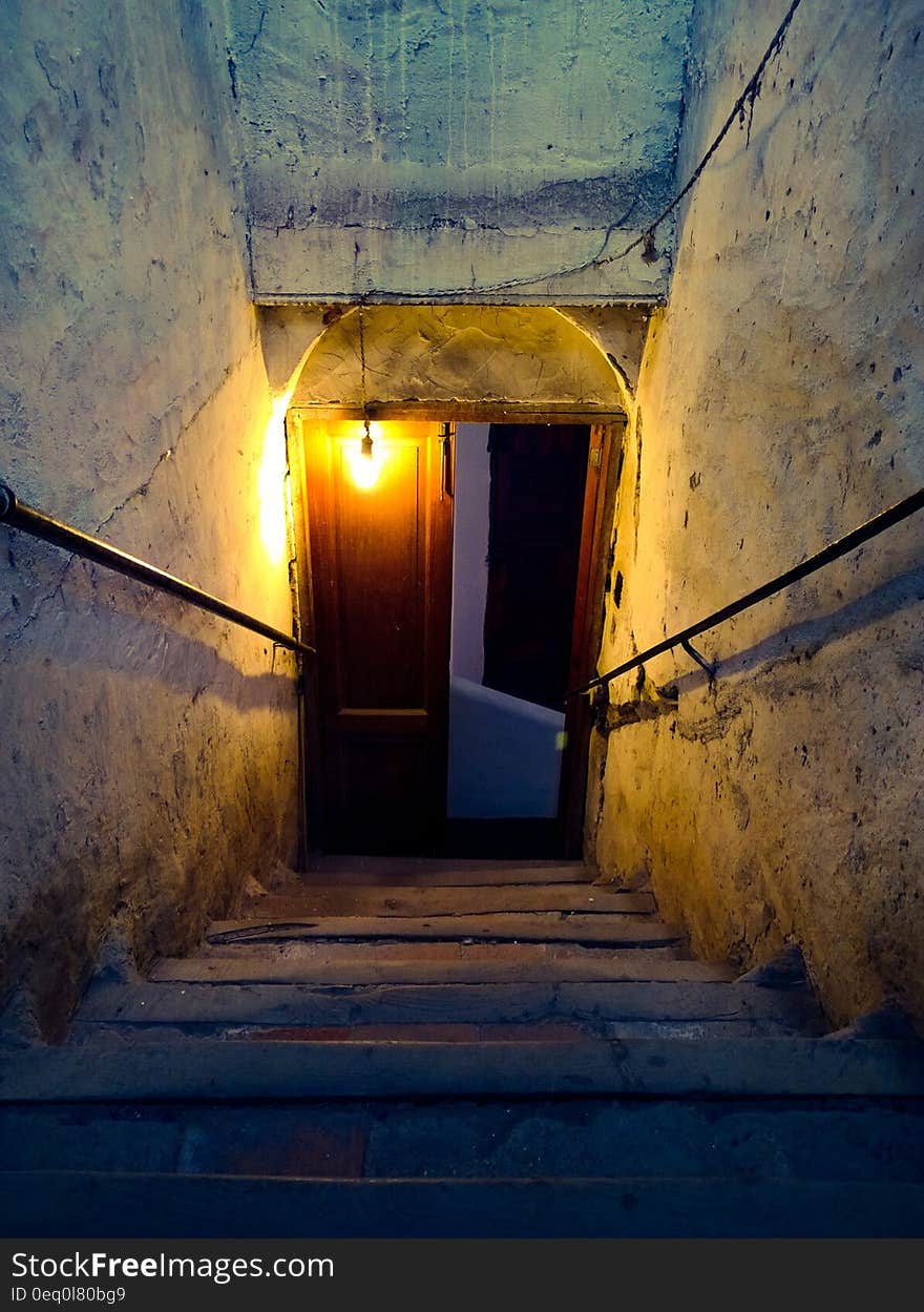 Brown Wooden Door Near Concrete Stairs With Light