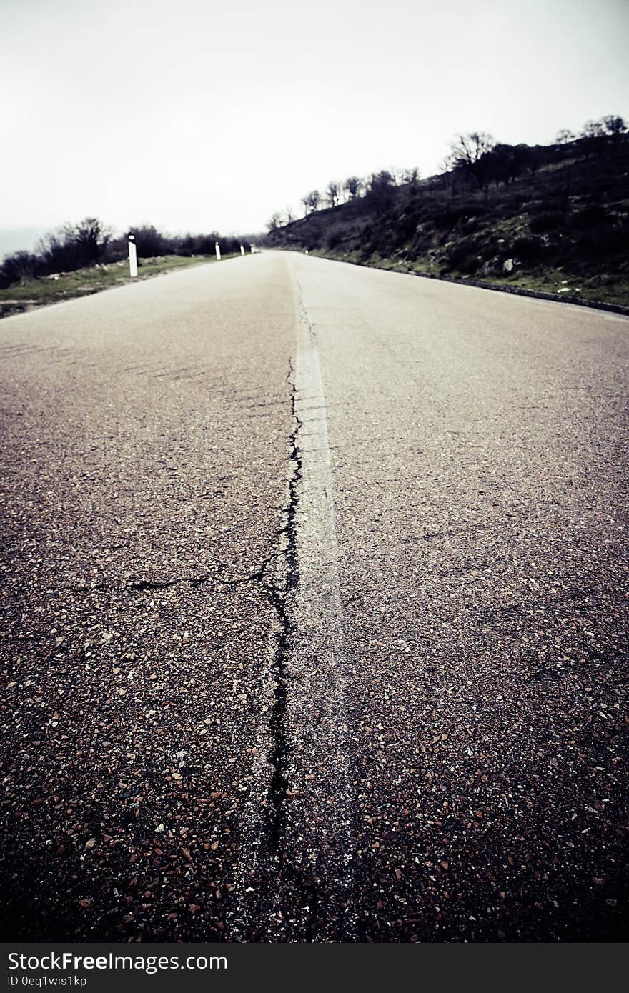 Grey Concrete Road Near Trees Above White Sky during Daytime