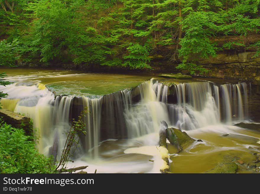 Hd Photography of River Surrounded With Trees