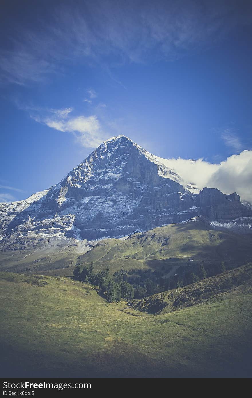 Blue Mountain Under Green Leaf Trees Photo