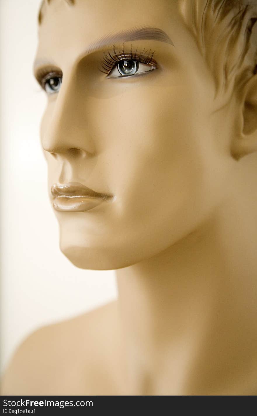 Male Manikin