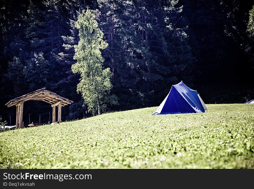 Blue and White Tent on Green Grass Field Near Green Tree