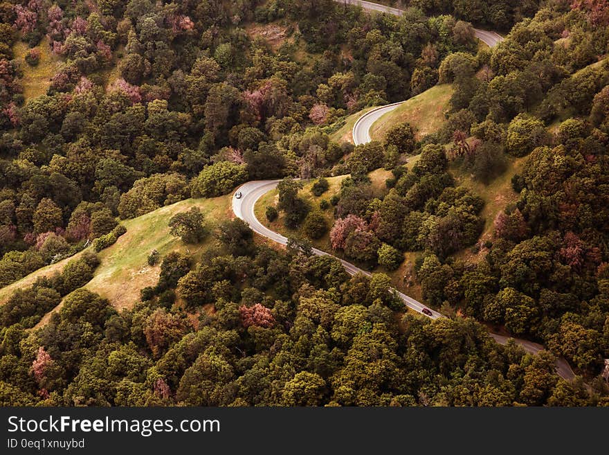 Gray Car on Long Winding Road