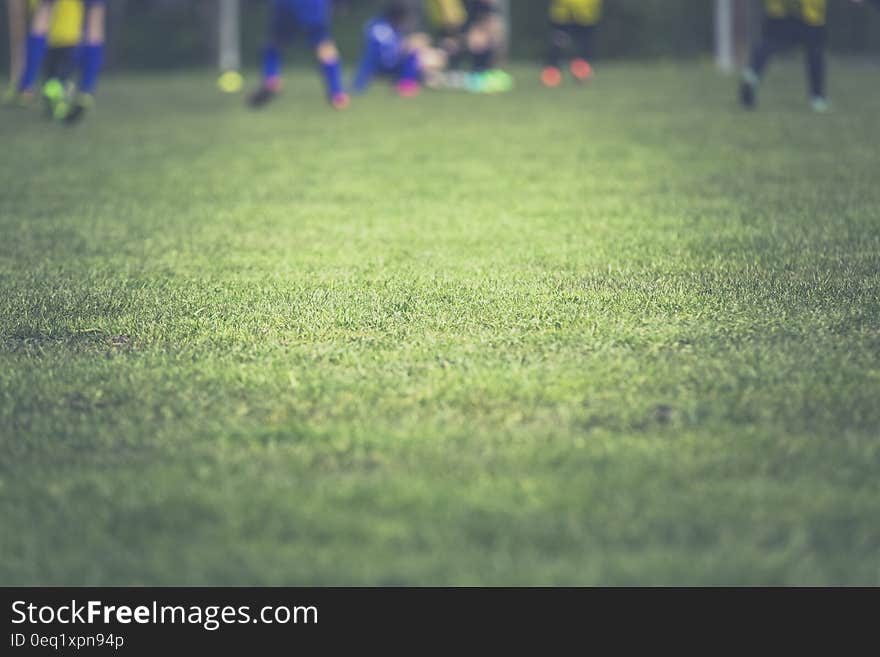 People Playing Soccer on Soccer Field during Daytime