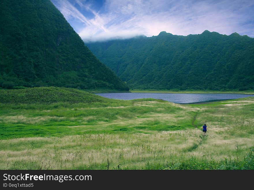 A green meadow with green hills in the background. A green meadow with green hills in the background.