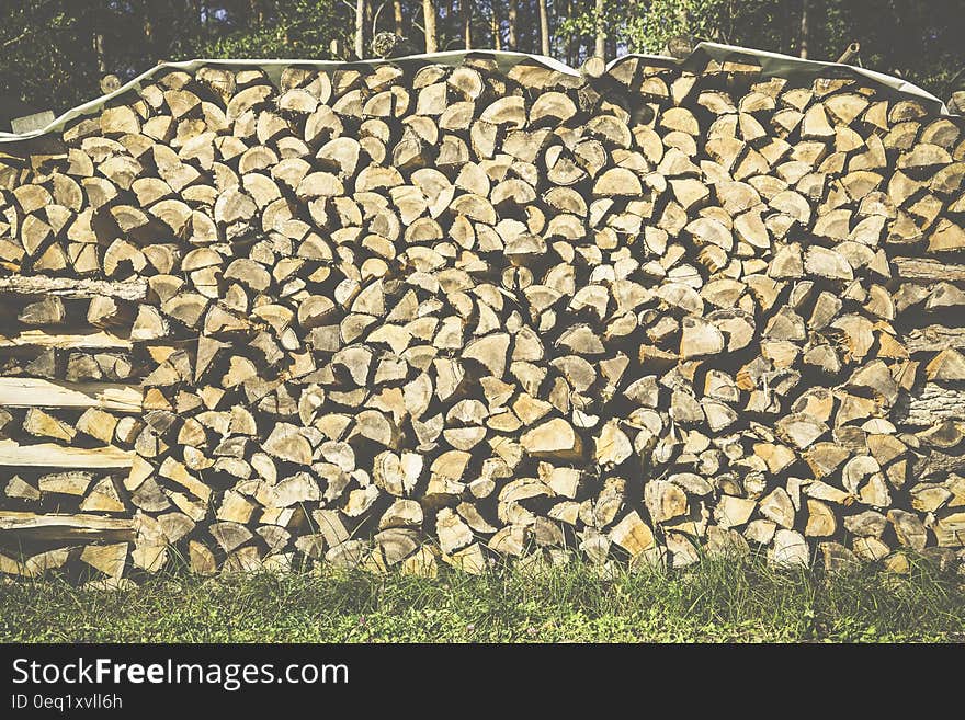 Firewood