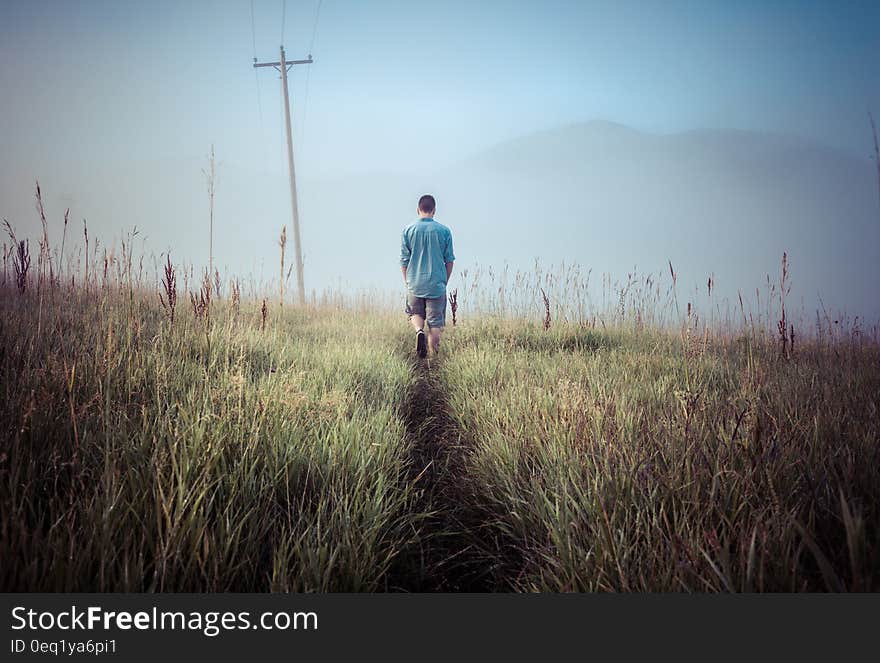 Man walking down path through meadow on sunny day. Man walking down path through meadow on sunny day.