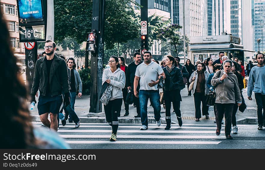 People Walking on Pedestrian Lane during Daytime