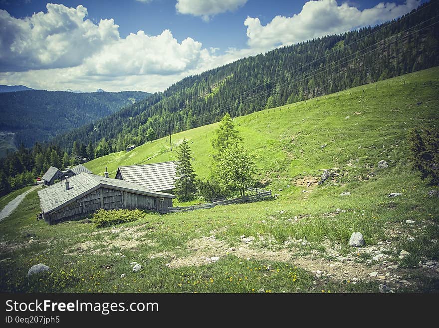 Grey Shed Surrounded by Green Grass during Daytime