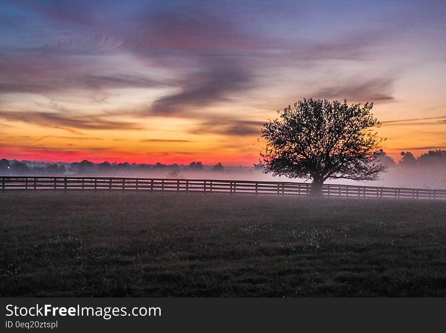 A meadow with a tree and a fence with the sun rising. A meadow with a tree and a fence with the sun rising.