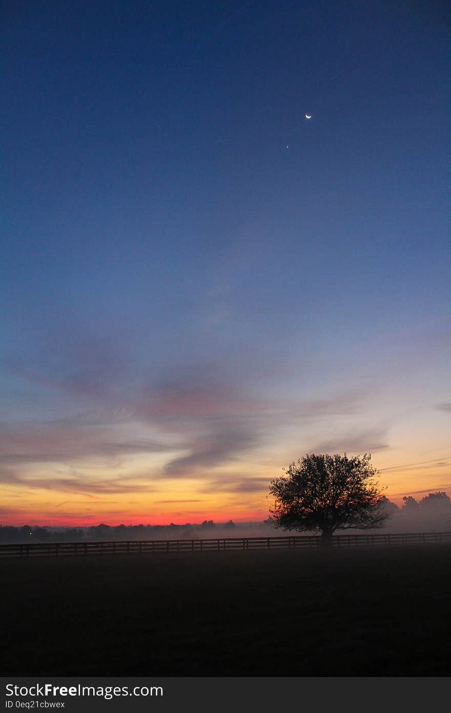 A starry sky above a meadow with sun setting in the horizon. A starry sky above a meadow with sun setting in the horizon.