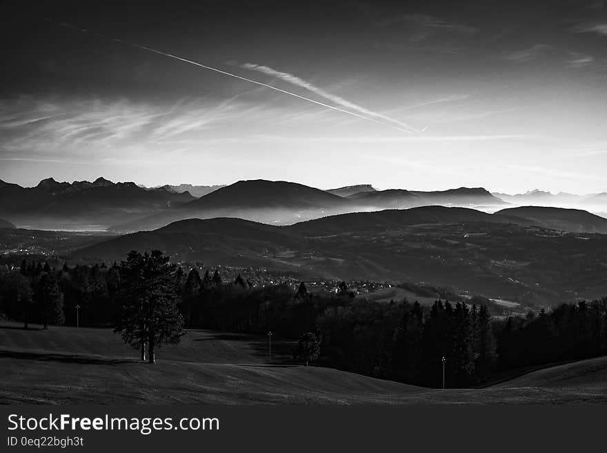 Grayscale Photo of Trees Near Mountains