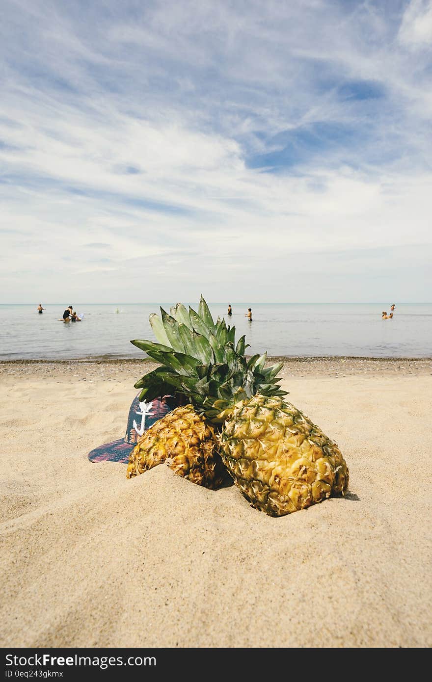 Whole fresh ripe pineapples on sandy coastline. Whole fresh ripe pineapples on sandy coastline.