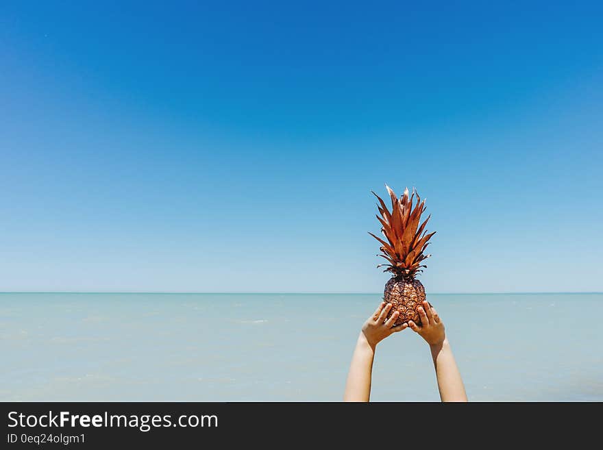 Hands holding fresh whole pineapple over blue waters on sunny day. Hands holding fresh whole pineapple over blue waters on sunny day.