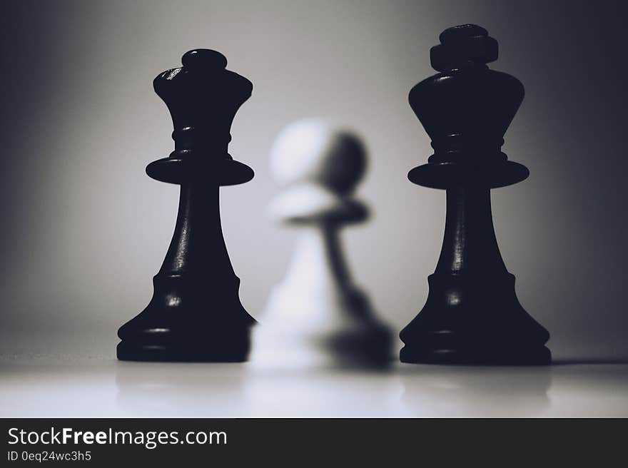 White and black wooden chess pieces. White and black wooden chess pieces.