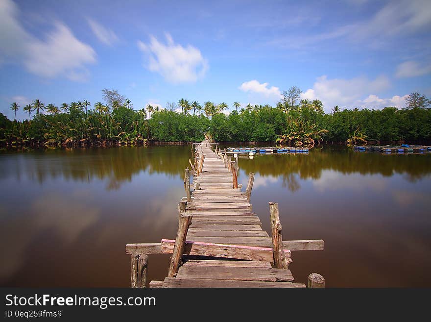 Rustic wooden bridge over lake on sunny day.