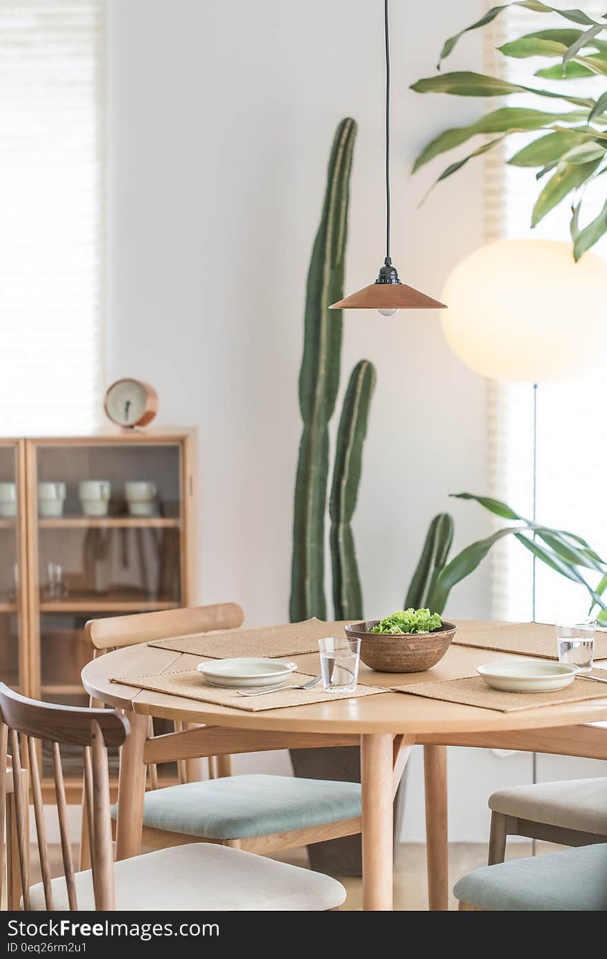 Green Cactus Plant Near to White Ceramic Plate on Brown Wooden Table