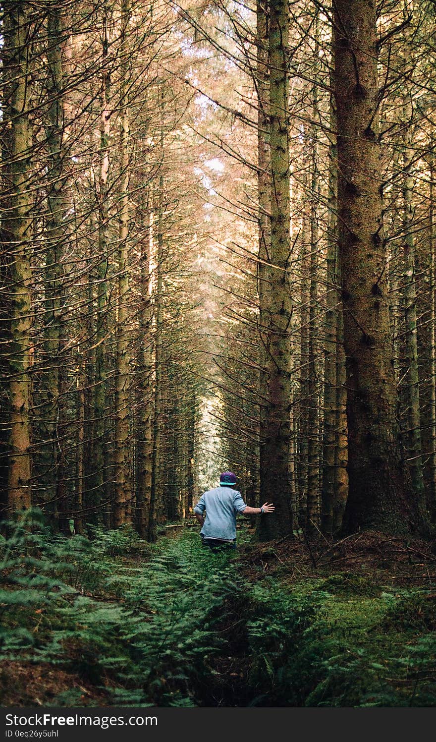 Man in a Forest