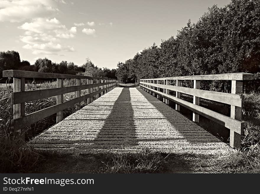 Grayscale Photography of Bridge