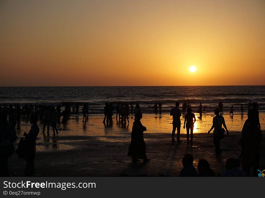 Silhouettes of People on Beach at Sunset