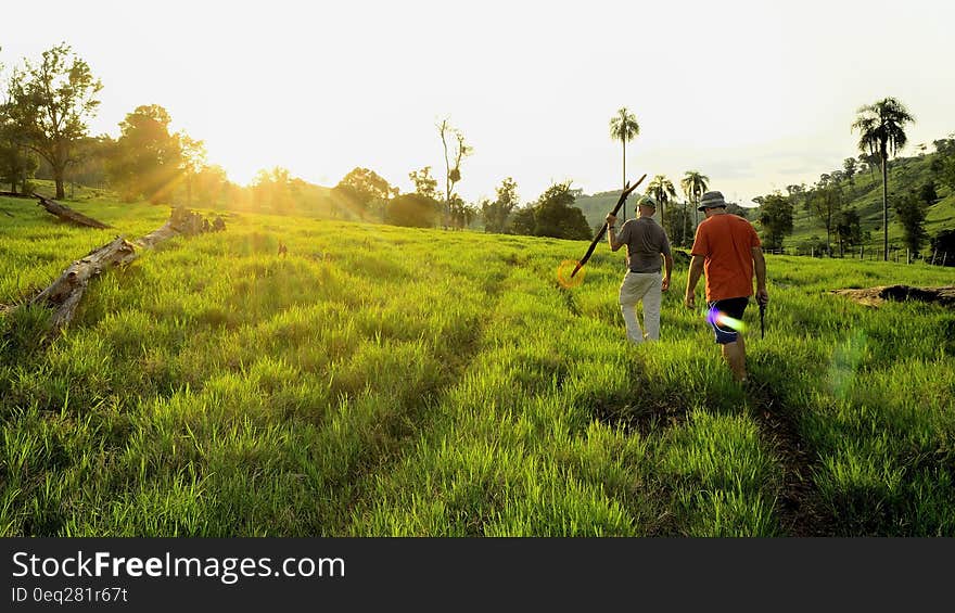 Man Walking Green Field at Daytime