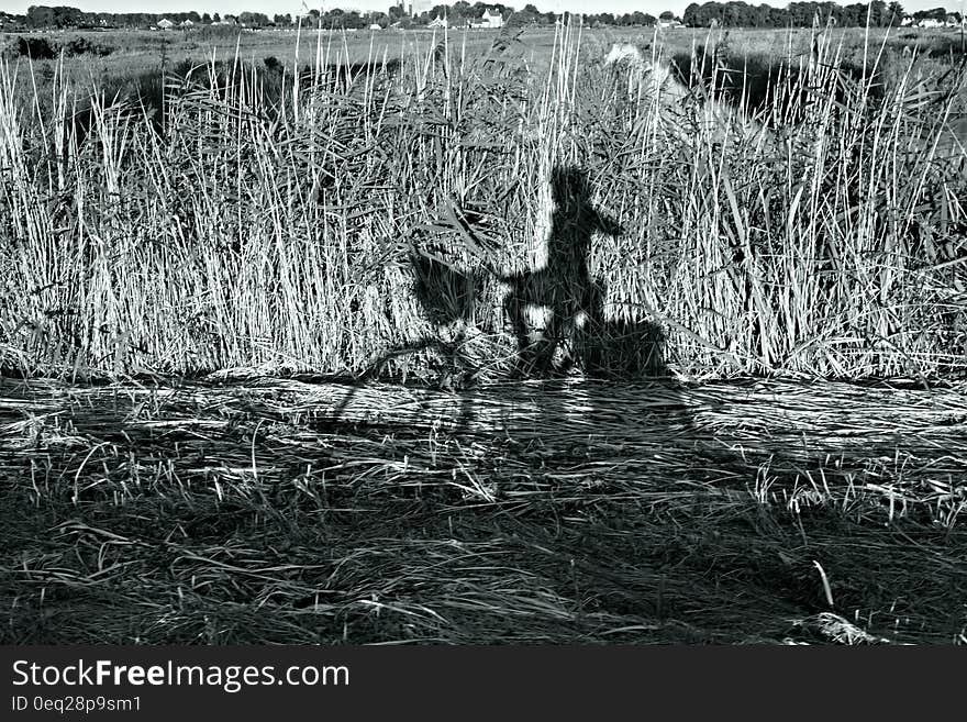 Person Riding Bicycle Shadow on the Grass during Daytime