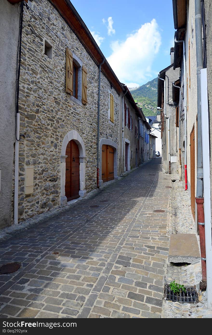 Gray Pathway Surrounded by Houses