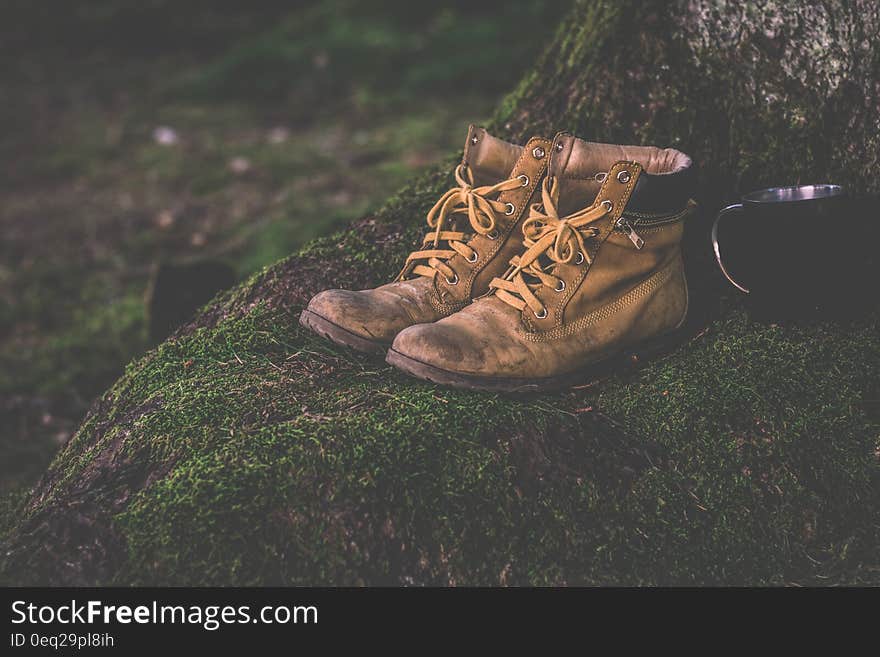 Brown Work Boots